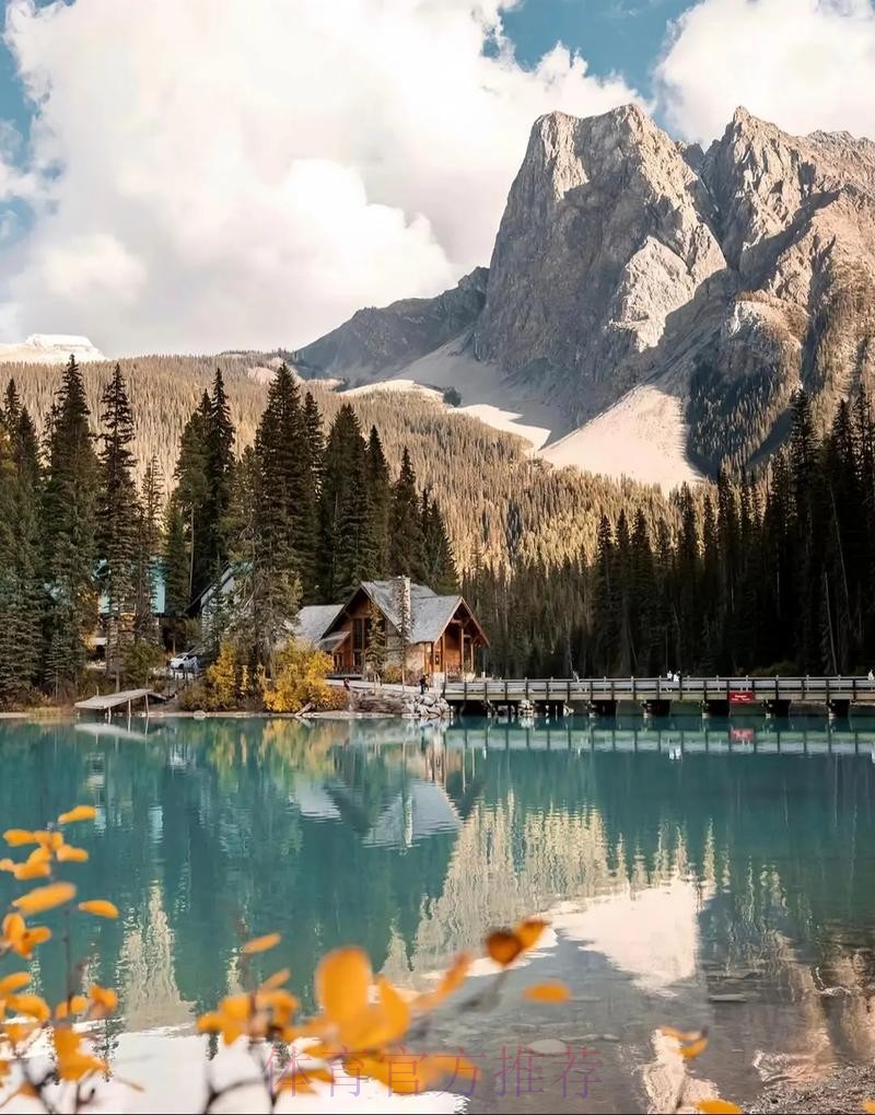 2026美加墨世界杯高清直播下载 2026美加墨世界杯高清直播下载