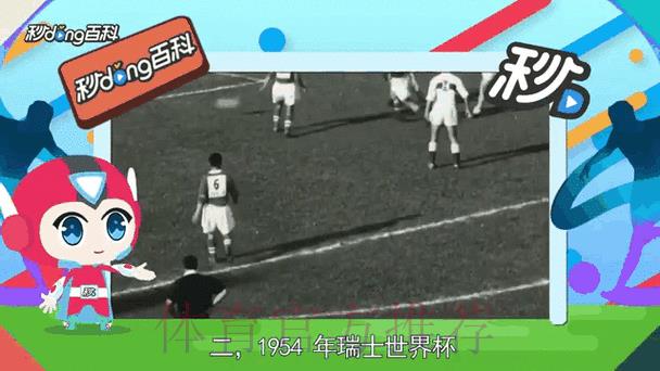 世界杯实时比分播报，抢先了解最新赛况动态