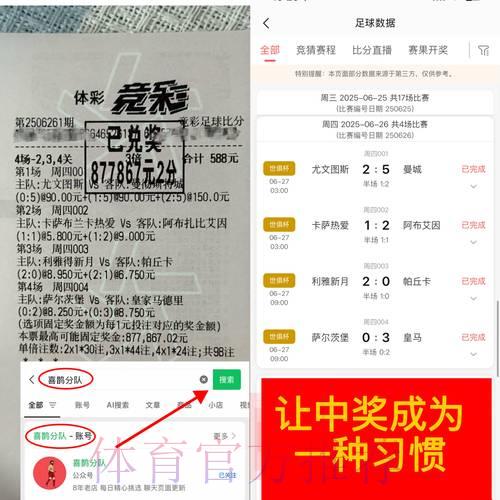 如何挑选世界杯竞猜平台：关键考量因素全解析